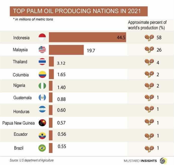 Top Palm Oil Producing Nations in the World