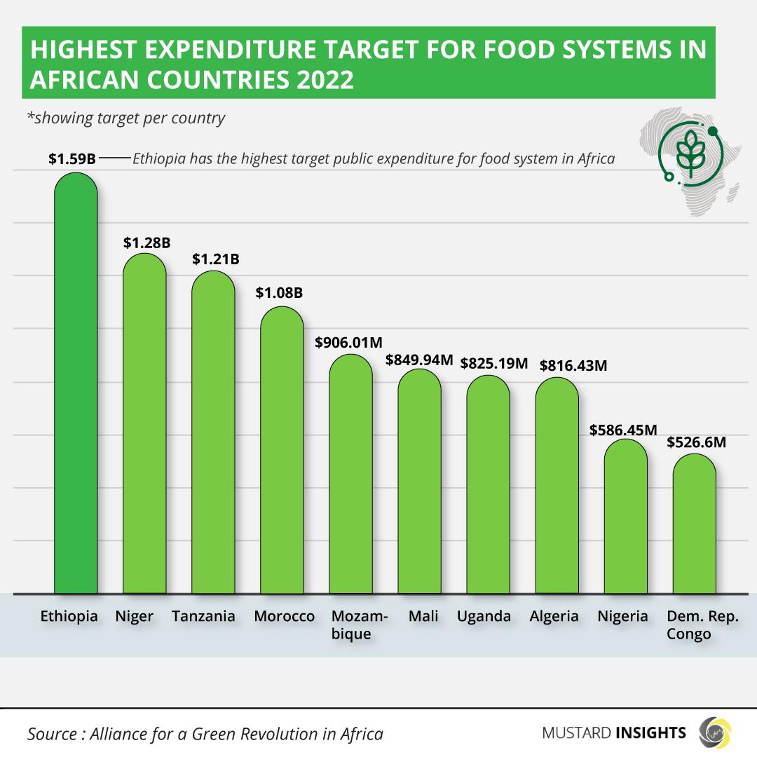 Transforming Africa’s Food Systems on the Path to Sustainability